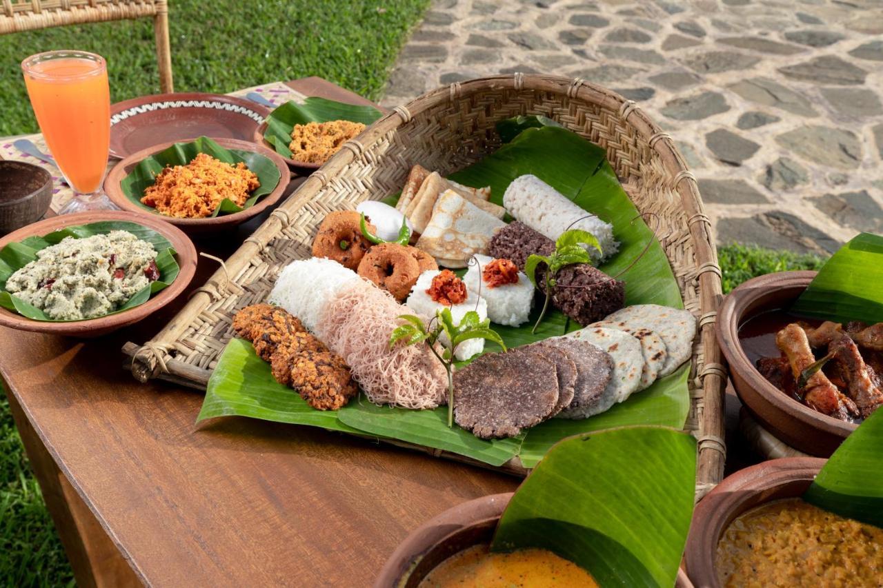 Wild Glamping Gal Oya - Thema Collection Hotel Galgamuwa  Exterior foto